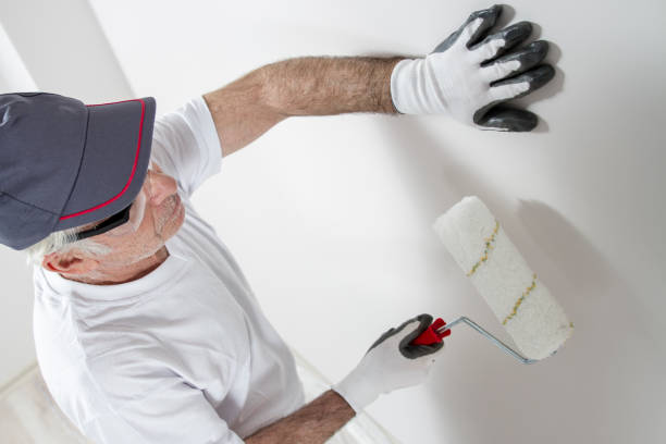 Reliable Calhoun City, MS Mold Removal Solutions