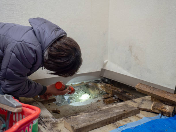 Best Post-Remediation Verification Testing  in Calhoun City, MS
