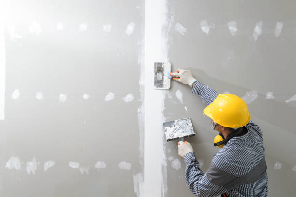 Best Environmental Consulting for Mold Prevention  in Calhoun City, MS