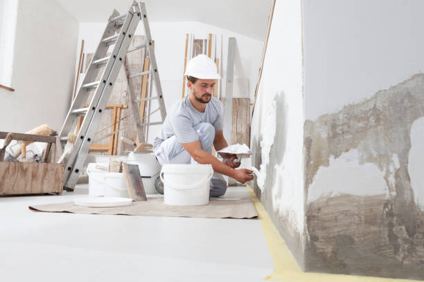 Best Black Mold Removal  in Calhoun City, MS