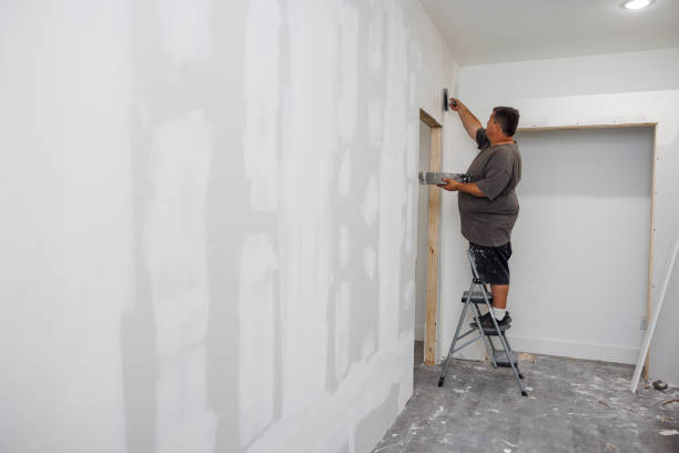Best Crawl Space Mold Remediation  in Calhoun City, MS