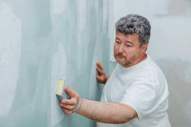 Best Post-Construction Mold Inspection  in Calhoun City, MS