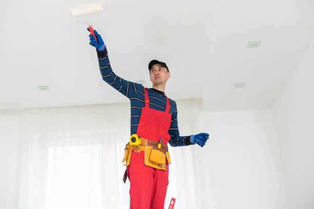 Best HVAC Mold Inspection and Cleaning  in Calhoun City, MS