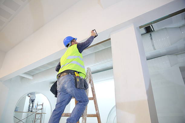 Best Mold Damage Restoration  in Calhoun City, MS