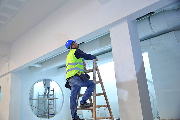 Best Basement Mold Removal  in Calhoun City, MS