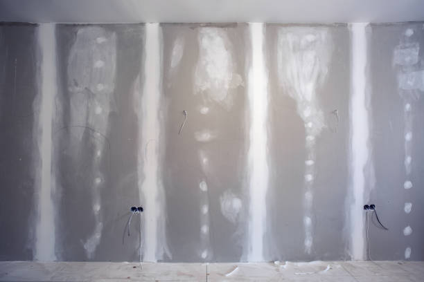 Best Emergency Mold Remediation  in Calhoun City, MS